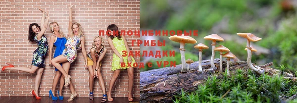 ГАЛЛЮЦИНОГЕННЫЕ ГРИБЫ Абинск