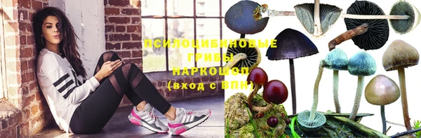 ГАЛЛЮЦИНОГЕННЫЕ ГРИБЫ Абинск