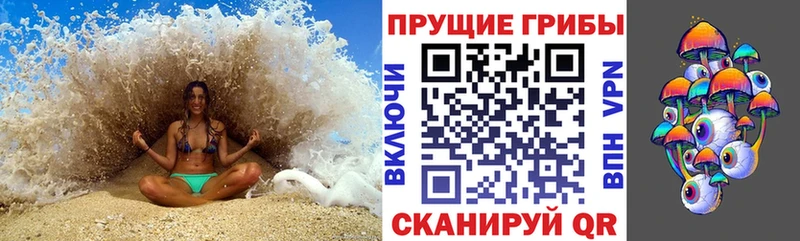 что такое   Кострома  Галлюциногенные грибы мухоморы 